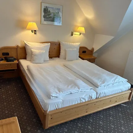 Hotel Zum Deichgrafen 3*